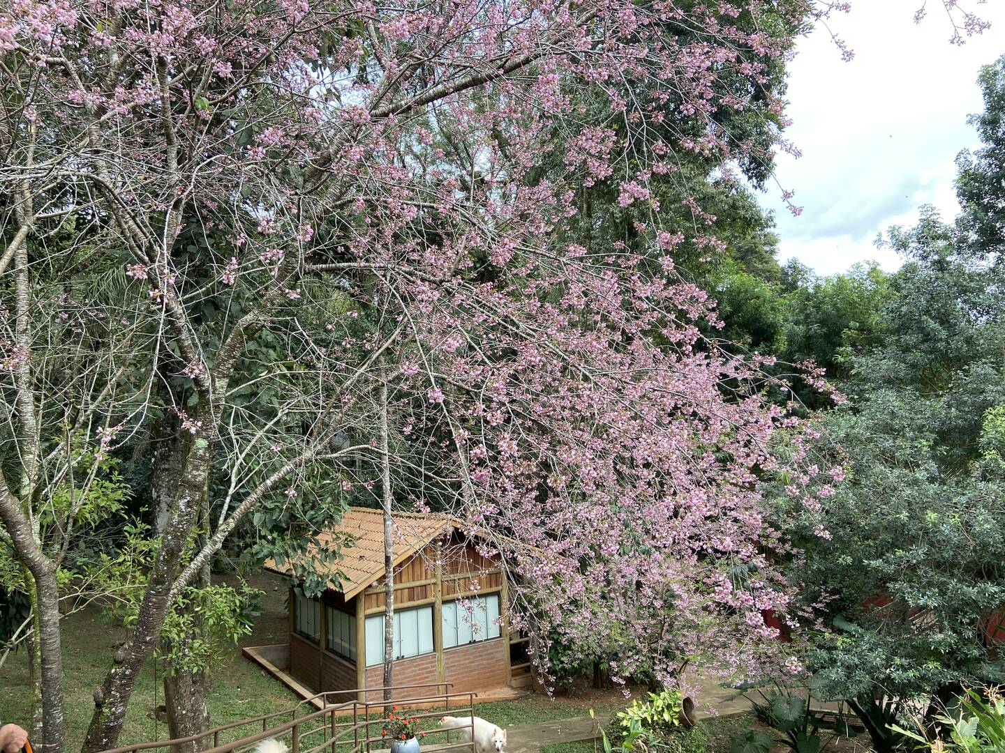 #132 - Chácara para Venda em Mairiporã - SP
