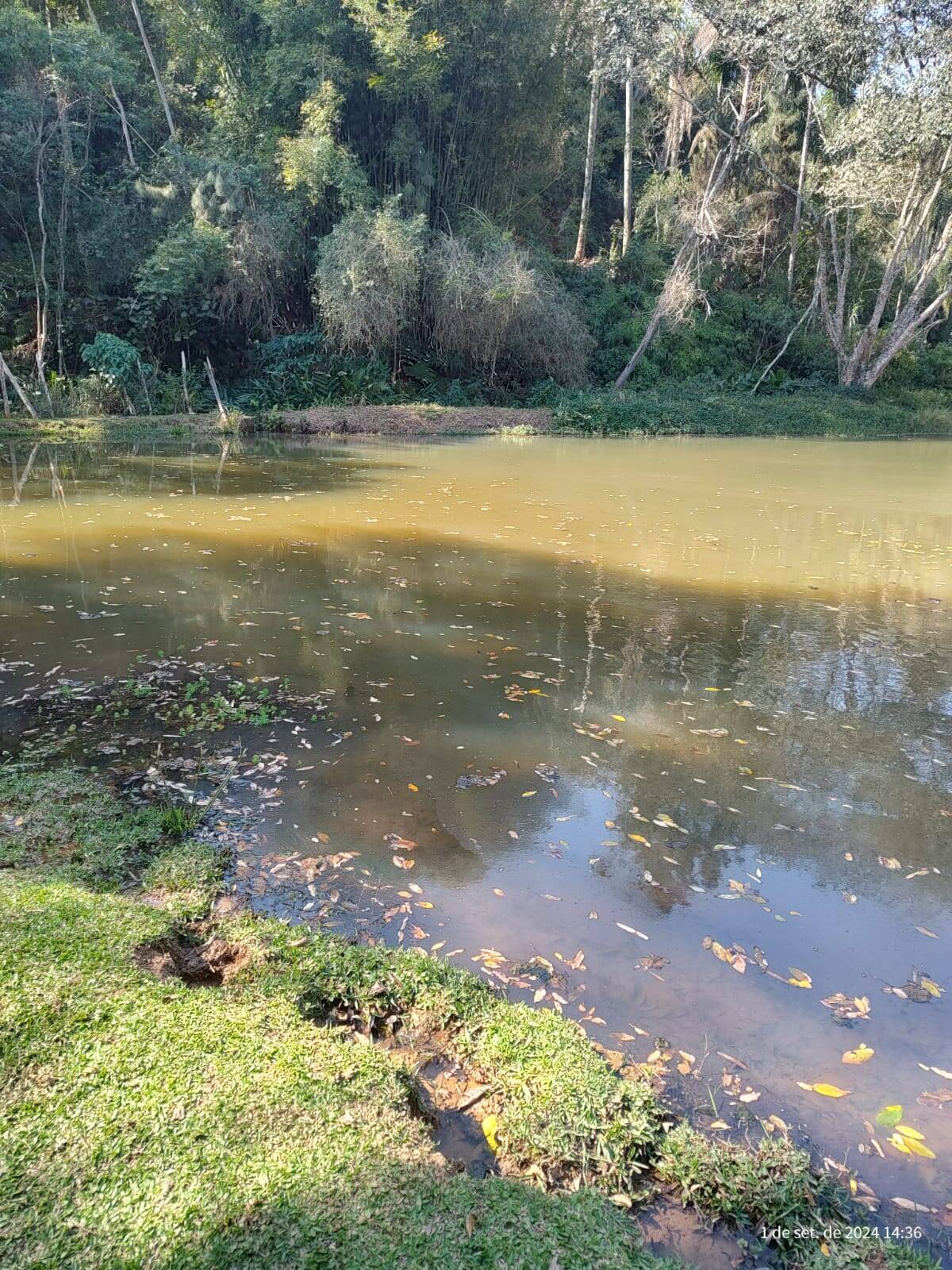 #385 - Chácara para Venda em Mairiporã - SP
