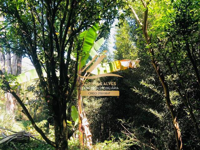 Chácara para Venda em Mairiporã - 4