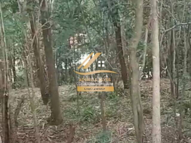 #187 - Área para Venda em Atibaia - SP - 3