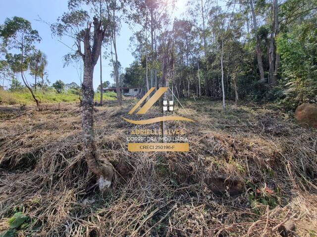 #201 - Área para Venda em Mairiporã - SP - 2