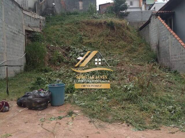 #245 - Área para Venda em Mairiporã - SP - 1
