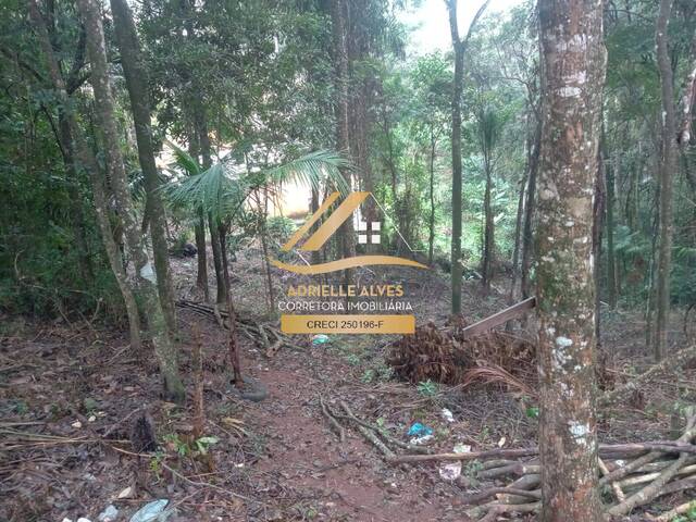 #263 - Área para Venda em Mairiporã - SP - 1