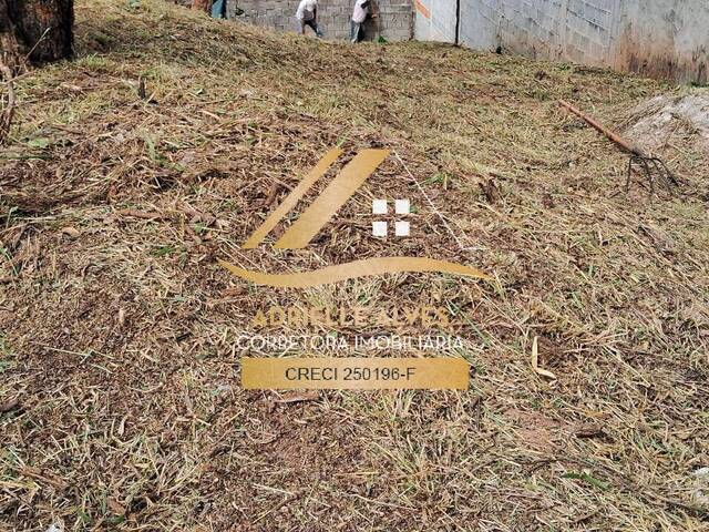 #334 - Área para Venda em Mairiporã - SP - 3