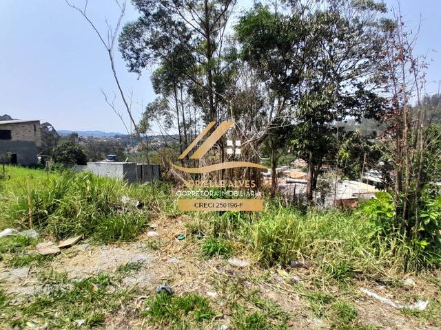 #376 - Área para Venda em Mairiporã - SP - 3